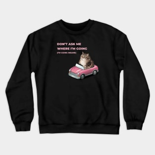 Don't ask me where I'm going (I'm going insane) Crewneck Sweatshirt